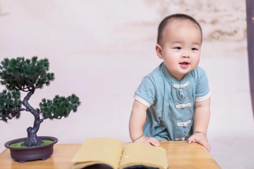 贺州可爱的企鹅宝宝